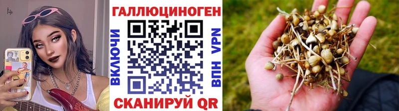 даркнет официальный сайт  МЕГА вход  Могоча  Галлюциногенные грибы Magic Shrooms 
